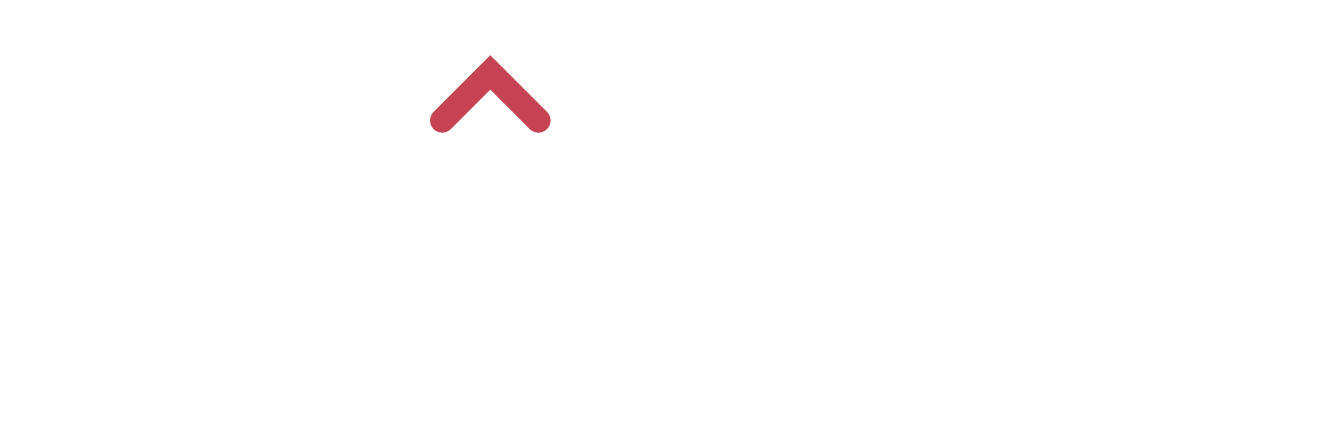 BruagComp Logo